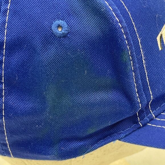 1998 Looney Tunes Tweety Bird Hat Cap Embroidered Blue Strapback Vintage - Picture 5 of 13